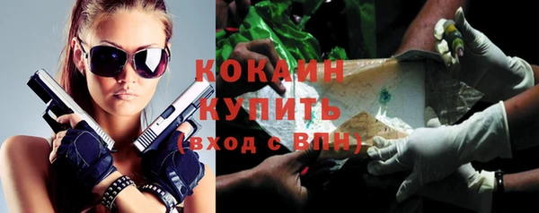дживик Медвежьегорск
