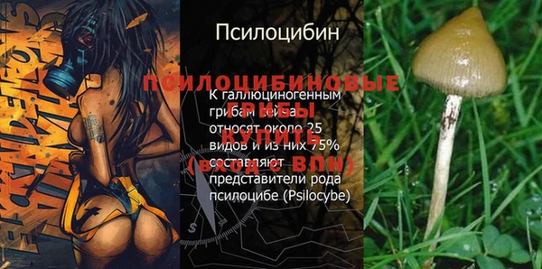 крисы Себеж