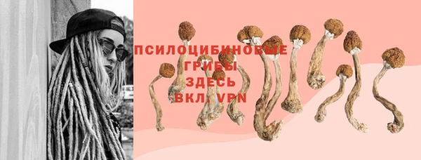 дживик Медвежьегорск