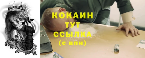 дживик Медвежьегорск