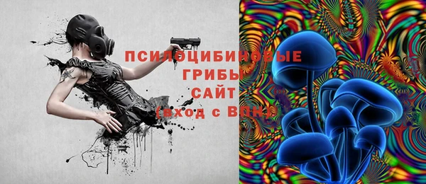 дживик Медвежьегорск