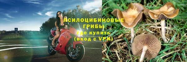 mdpv Мегион