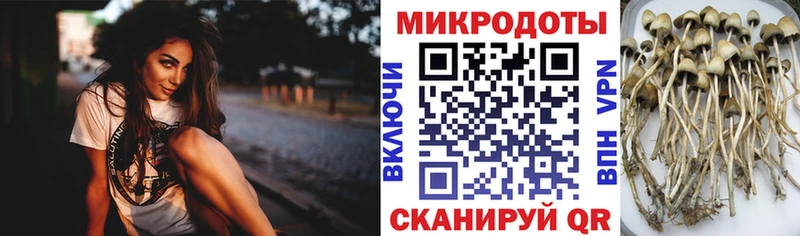 Псилоцибиновые грибы GOLDEN TEACHER Ангарск